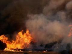 ЄС виділив Португалії 45 млн євро для боротьби з лісовими пожежами