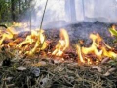 В Україні попереджають про надзвичайну пожежонебезпеку