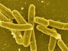 In Odessa, 600 people complained of intestinal infections for a week