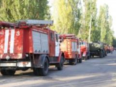 На острове Хортица начался лесной пожар