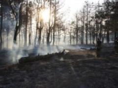 Лесной пожар на Хортице ликвидирован