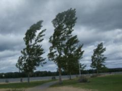 Weather forecasters warned of heavy rains and thunderstorms in western Ukraine
