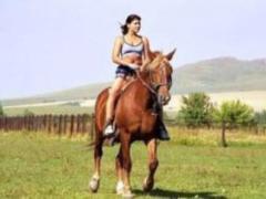 Country air reduces the manifestations of asthma in children