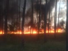 In five Ukrainian regions banned hunting