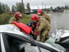 Под Житомиром легковушка столкнулась с грузовиком, два человека погибли