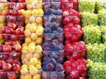 A New Paradoxical Diet