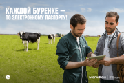 На Уралі придумали, як спростити систему електронної ветеринарної сертифікації