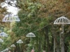В Луцке открыли уникальную аллею фонарей