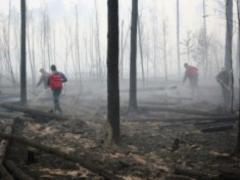 Пожежа на території Поліського природного заповідника в Житомирській області ліквідовано