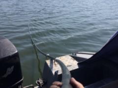 Пограничники обнаружили подводный спиртопровод из Молдовы в Украину