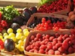 Україна зібрала рекордну кількість ягоди