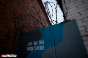 В Нижнем Тагиле грабитель магазина, убивший продавца, получил 18 лет строгача
