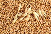 Record grain yield in Russia will lead to deflation