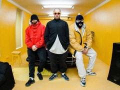 The group  Mushrooms  ceases its concert activity