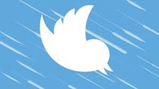 Twitter пожизненно заблокировал пользователя за угрозы комару