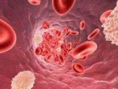 In the animal body, a human organ can be grown