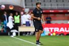 Lion angry at the fans of the German national team
