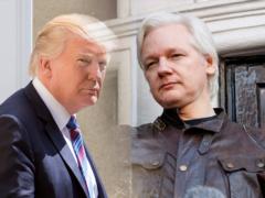 Assange buried Trump
