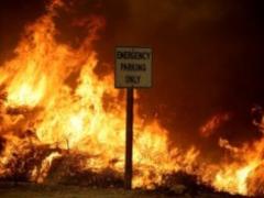 У Грузії за останні два дні вигоріло понад 80 гектарів лісу