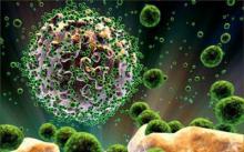 Cystitis is a disease of the  bare navel 