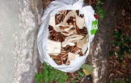 At the Bulgarian Embassy in Kiev found a package with cartridges