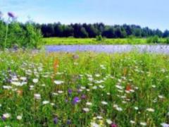 Return to Ukraine thirty-degree heat