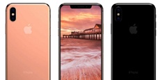 Однокристальная система Apple A11 отримає шестиядерний CPU