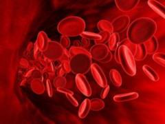 Food additives in the body compete with medicines and change the mechanism of their action