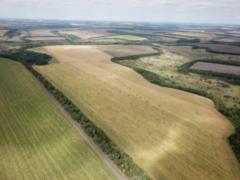 Украинцев заверили, что МВФ не хочет продажи земли