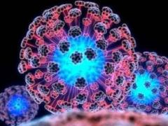 Long-term use of statins can reduce the risk of mental disorders