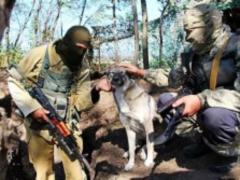 Зарплата военных в зоне АТО составит 17 тысяч гривен