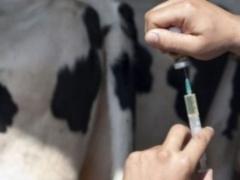Украина и Корея будут сотрудничать в сфере ветеринарной медицины