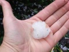 In Vinnytsia, the size of a walnut laid the ground