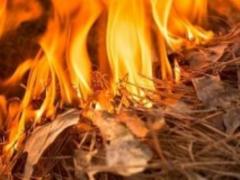 В Украине ожидается высокий уровень пожарной опасности