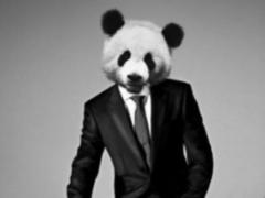 In the US, looking for a thief in a panda suit