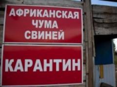 On the Ivano-Frankivsk the ASF