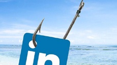 Fishers attack LinkedIn users