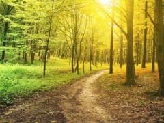 In Ukraine there are no changes: in the east it is dry and warm, in the west it is damp and cool