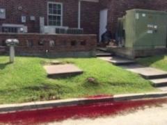 В США улицу залило кровью