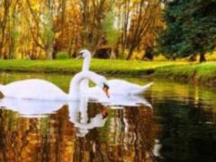 У понеділок в Україну повернуться дощ і прохолода