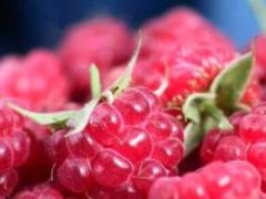 The healing power of antioxidants