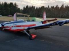 У США літак зіткнувся з двома оленями