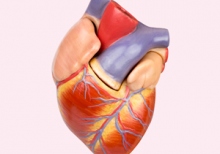 Went to the heels:. 
How to take care of the heart