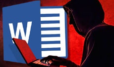 The non-documented function of MS Office allows you to collect data about users