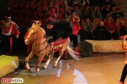 In Nizhny Tagil, after overhaul, a circus opens with a three-zone climate control and a solarium for horses