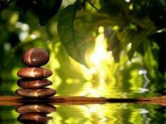 Treatment with medicinal plants