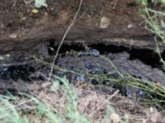 Львовщина накопила 200 тысяч опасных гудронов