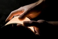 Samsung лідирує на ринку смартфонів з OLED-дисплеями