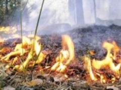 Weather forecasters warn of an emergency fire danger in the east of Ukraine