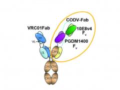 Scientists are close to creating a vaccine against the human immunodeficiency virus
